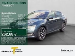 Grau Gebraucht 2021 Skoda Octavia First Edition Kombi | 18.850 € (Guter Preis)