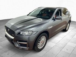 Corris grey Gebraucht 2019 Jaguar F-Pace R-Sport SUV | 25.900 € (Superpreis)