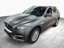 Corris grey Gebraucht 2019 Jaguar F-Pace R-Sport SUV | 26.900 € (Superpreis)