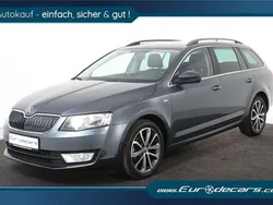 Grau Gebraucht 2016 Skoda Octavia Elegance Kombi | 9.800 € (Superpreis)