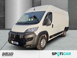 Lackierung weiss icy/typ ausse Gebraucht 2023 Opel Movano Edition Van | 21.540 € (Superpreis)