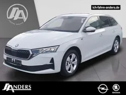 Weiss moonweiss Gebraucht 2025 Skoda Octavia Tour Kombi | 37.990 € (Etwas zu teuer)