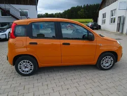 Orange Gebraucht 2019 Fiat Panda Easy Kleinwagen | 7.999 € (Guter Preis)