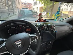 Grau Gebraucht 2019 Dacia Sandero Stepway Kleinwagen | 12.600 € (Teuer)