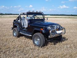 Schwarz Gebraucht 1991 Jeep Wrangler SUV | 27.900 €