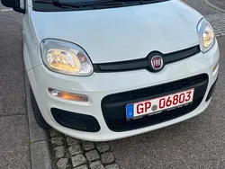 Weiß Gebraucht 2013 Fiat Panda Kleinwagen | 5.799 € (Teuer)