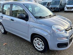 Grau Gebraucht 2022 Fiat Panda Limousine | 8.900 € (Fairer Preis)