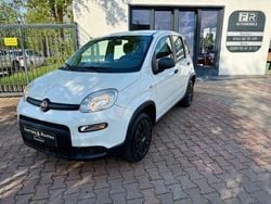 Weiß Gebraucht 2013 Fiat Panda 4x4 Kleinwagen | 4.999 € (Fairer Preis)