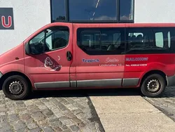 Rot Gebraucht 2005 Renault Trafic Van | 2.490 €