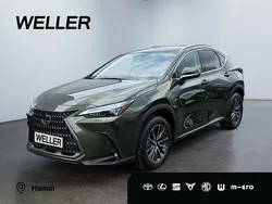 Gruen Gebraucht 2022 Lexus NX350h E-FOUR Executive Line SUV | 48.980 € (Superpreis)
