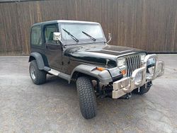 Schwarz Gebraucht 1992 Jeep Wrangler SUV | 25.300 €