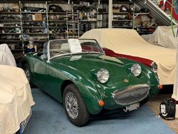Grün Gebraucht 1961 Austin Healey Sprite Cabrio | 24.999 €