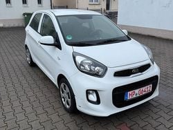 Weiß Gebraucht 2016 Kia Picanto Kleinwagen | 6.350 € (Guter Preis)