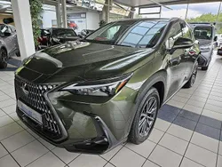 Norigrün metallic Gebraucht 2025 Lexus NX450h+ Business Edition SUV | 52.890 €
