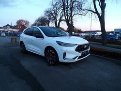 Weiß Gebraucht 2025 Ford Kuga ST-Line X SUV | 37.990 € (Etwas zu teuer)