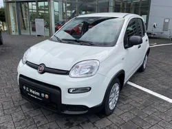 Weiß Gebraucht 2024 Fiat Panda Kleinwagen | 15.500 € (Teuer)