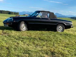 Schwarz Gebraucht 1979 Alfa Romeo Spider Cabrio | 18.900 €