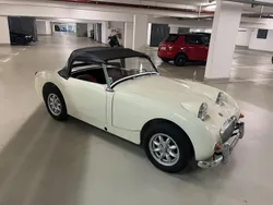 Austin Healey Frogeye