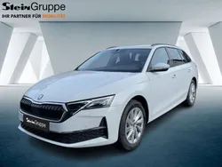 Weiß Neu 2024 Skoda Octavia Selection Kombi | 36.189 € (Fairer Preis)