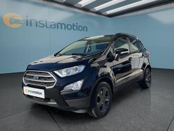 Schwarz Gebraucht 2019 Ford Ecosport SUV | 14.399 € (Etwas zu teuer)