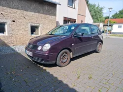 Violet Gebraucht 2002 VW Polo Kleinwagen | 850 € (Guter Preis)