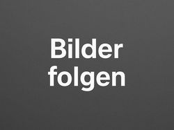 Schwarz Gebraucht 2010 Mercedes S500L Limousine | 22.999 € (Etwas zu teuer)