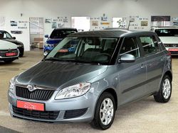 Grau Gebraucht 2013 Skoda Fabia Ambition Limousine | 11.690 € (Teuer)