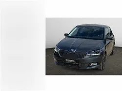 Quarzgrau metallic Gebraucht 2021 Skoda Fabia Best of | 17.790 € (Etwas zu teuer)