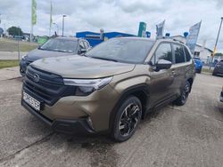 Autumn green metallic Neu 2025 Subaru Forester Exclusive+ SUV | 42.970 €