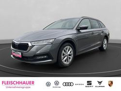 Grau Gebraucht 2023 Skoda Octavia Ambition Kombi | 25.990 € (Fairer Preis)