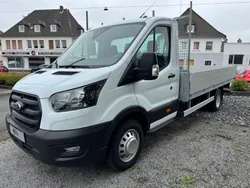 Weiß Gebraucht 2024 Ford Transit Trend | 43.970 € (Etwas zu teuer)