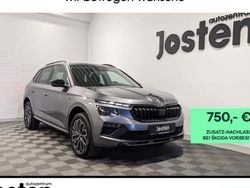 Grau Neu 2025 Skoda Kamiq Tour SUV | 25.850 € (Etwas zu teuer)