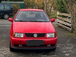 Rot Gebraucht 1996 VW Polo Kleinwagen | 550 € (Guter Preis)
