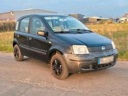 Schwarz Gebraucht 2005 Fiat Panda Kleinwagen | 1.234 € (Fairer Preis)