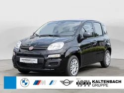 Cinema schwarz Neu 2025 Fiat Panda Kleinwagen | 14.490 € (Fairer Preis)
