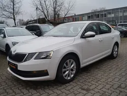 Weiß Gebraucht 2017 Skoda Octavia G-TEC Ambition Limousine | 11.350 € (Superpreis)