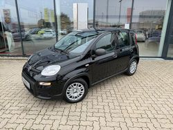 Schwarz Gebraucht 2024 Fiat Panda Limousine | 14.950 € (Etwas zu teuer)