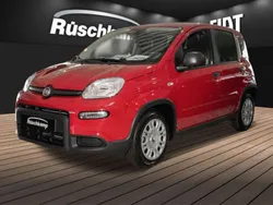 Rot Neu 2024 Fiat Panda Kleinwagen | 13.980 €
