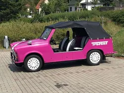 Violett Gebraucht 1970 Trabant 601 Cabrio | 13.500 €
