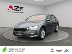 Grau Gebraucht 2024 Skoda Octavia Selection Kombi | 29.990 € (Guter Preis)