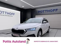 Weiss Gebraucht 2023 Skoda Octavia Style Kombi | 24.222 € (Superpreis)