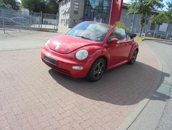 Rot Gebraucht 2004 VW Beetle Highline Cabrio | 2.899 € (Fairer Preis)
