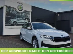 Moonweiss metallic Neu 2025 Skoda Octavia Kombi | 27.800 € (Superpreis)