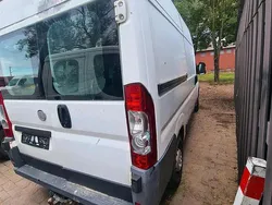 Weiß Gebraucht 2008 Fiat Ducato Van | 1.350 € (Superpreis)