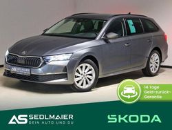 Graphite grau Gebraucht 2024 Skoda Octavia Selection Kombi | 34.900 € (Fairer Preis)