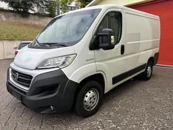 Weiß Gebraucht 2018 Fiat Ducato Van | 9.900 € (Superpreis)
