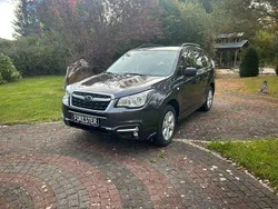 Grau (dark gray) Gebraucht 2018 Subaru Forester Active SUV | 10.900 € (Guter Preis)