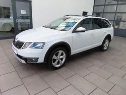 Weiß Gebraucht 2019 Skoda Octavia Kombi | 18.585 € (Etwas zu teuer)