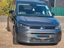 Grau Gebraucht 2021 VW Caddy California Van / Kleinbus | 33.499 € (Teuer)
