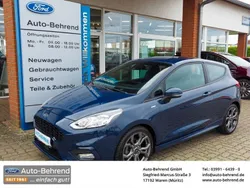 Blau Gebraucht 2019 Ford Fiesta ST-Line Kleinwagen | 14.395 € (Fairer Preis)